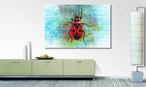 Quadro Firebug Abete massello / Tessuto misto - 80 x 120 cm