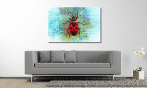 Quadro Firebug Abete massello / Tessuto misto - 80 x 120 cm