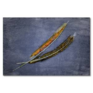 Leinwandbild Two Feathers Blue Fichte Massiv / Mischgewebe - 80 x 120 cm