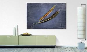 Quadro Two Feathers Blue Abete massello / Tessuto misto - 80 x 120 cm