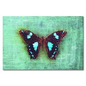 Quadro Gloomy Butterfly Abete massello / Tessuto misto - 80 x 120 cm