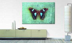 Quadro Gloomy Butterfly Abete massello / Tessuto misto - 80 x 120 cm