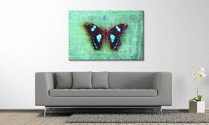 Quadro Gloomy Butterfly Abete massello / Tessuto misto - 80 x 120 cm