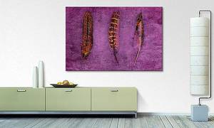 Quadro Feathers and Purple Abete massello / Tessuto misto - 80 x 120 cm