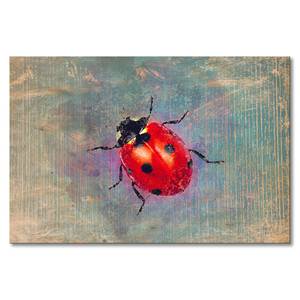 Quadro Ladybug Abete massello / Tessuto misto - 80 x 120 cm