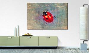 Quadro Ladybug Abete massello / Tessuto misto - 80 x 120 cm
