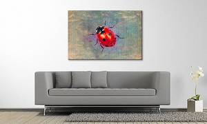Quadro Ladybug Abete massello / Tessuto misto - 80 x 120 cm
