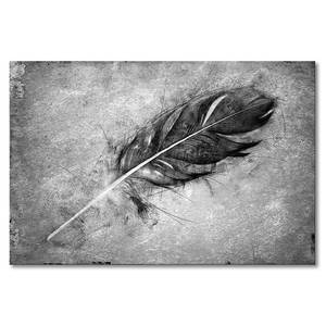 Quadro Beautiful Feather Abete massello / Tessuto misto - 80 x 120 cm