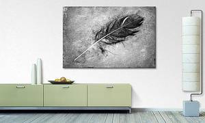 Quadro Beautiful Feather Abete massello / Tessuto misto - 80 x 120 cm