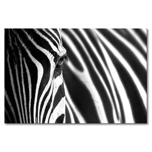 Leinwandbild Animal Stripes Fichte Massiv / Mischgewebe - 80 x 120 cm