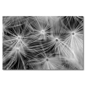 Quadro bianco e nero Dandelion Abete massello / Tessuto misto - 80 x 120 cm