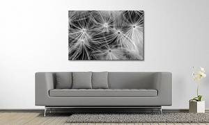 Quadro bianco e nero Dandelion Abete massello / Tessuto misto - 80 x 120 cm