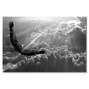 Quadro Eagle in Flight Abete massello / Tessuto misto - 80 x 120 cm