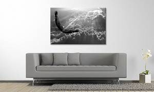 Quadro Eagle in Flight Abete massello / Tessuto misto - 80 x 120 cm