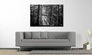 Impression sur toile Into The Forest Épicéa massif / Tissu mélangé - 80 x 120 cm - Noir / Blanc