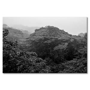 Impression sur toile Jungle Épicéa massif / Tissu mélangé - 80 x 120 cm - Noir / Blanc