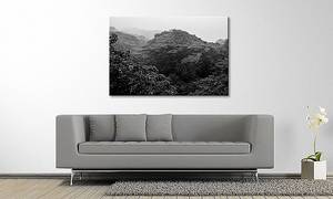 Impression sur toile Jungle Épicéa massif / Tissu mélangé - 80 x 120 cm - Noir / Blanc