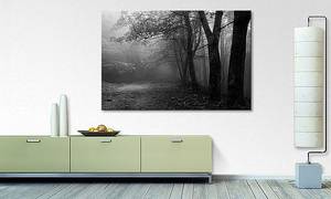Leinwandbild Green Forest Fichte Massiv / Mischgewebe - 80 x 120 cm