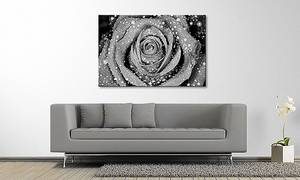 Leinwandbild Morning Rose Fichte Massiv / Mischgewebe - 80 x 120 cm - Schwarz / Weiß