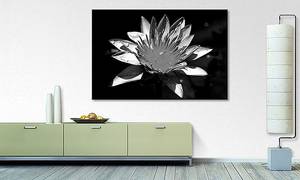 Quadro Nymphaea Abete massello / Tessuto misto - 80 x 120 cm - Nero / Bianco