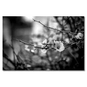 Quadro Beautiful Blossoms Abete massello / Tessuto misto - 80 x 120 cm
