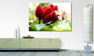 Impression sur toile Beauty Red Blud Épicéa massif / Tissu mélangé - 80 x 120 cm