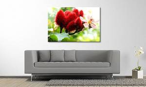 Leinwandbild Beauty Red Bud Fichte Massiv / Mischgewebe - 80 x 120 cm