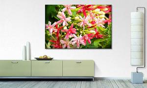 Quadro Pink Moment Abete massello / Tessuto misto - 80 x 120 cm