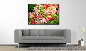 Quadro Pink Moment Abete massello / Tessuto misto - 80 x 120 cm