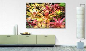 Afbeelding Powerful Plants massief sparrenhout/textielmix - 80 x 120 cm