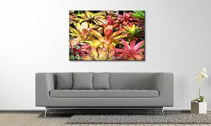 Afbeelding Powerful Plants massief sparrenhout/textielmix - 80 x 120 cm