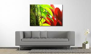 Afbeelding Green Red Nature massief sparrenhout/textielmix - 80 x 120 cm