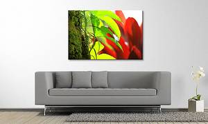 Quadro Green Red Nature Abete massello / Tessuto misto - 80 x 120 cm