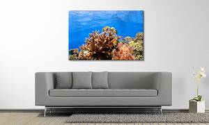 Quadro Corals Reef Abete massello / Tessuto misto - 80 x 120 cm