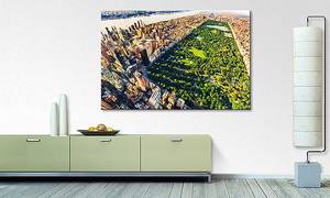 Leinwandbild Central Park Fichte Massiv / Mischgewebe - 80 x 120 cm