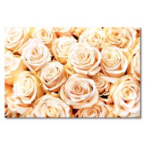 Leinwandbild Creamy Roses Fichte Massiv / Mischgewebe - 80 x 120 cm