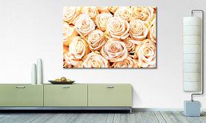 Leinwandbild Creamy Roses Fichte Massiv / Mischgewebe - 80 x 120 cm