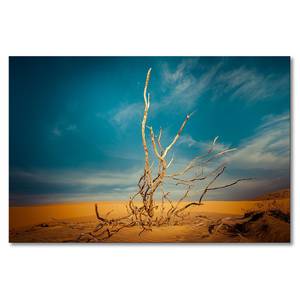 Leinwandbild Desert Landscape Fichte Massiv / Mischgewebe - 80 x 120 cm - Multicolor