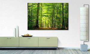 Leinwandbild Into The Forest Fichte Massiv / Mischgewebe - 80 x 120 cm - Multicolor