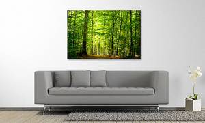 Leinwandbild Into The Forest Fichte Massiv / Mischgewebe - 80 x 120 cm - Multicolor