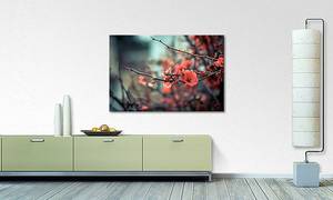 Leinwandbild Red Blossoms Fichte Massiv / Mischgewebe - 80 x 120 cm