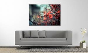 Quadro Red Blossoms Abete massello / Tessuto misto - 80 x 120 cm