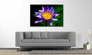 Quadro Nymphaea Abete massello / Tessuto misto - 80 x 120 cm - Multicolore