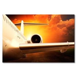 Leinwandbild Sunset Flight Fichte Massiv / Mischgewebe - 80 x 120 cm