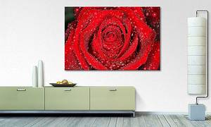 Leinwandbild Morning Rose Fichte Massiv / Mischgewebe - 80 x 120 cm - Rot