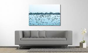 Leinwandbild Sparkling Water Fichte Massiv / Mischgewebe - 80 x 120 cm