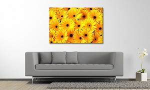 Quadro Sunny Mood Abete massello / Tessuto misto - 80 x 120 cm