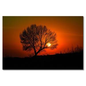 Quadro Red Sunset Abete massello / Tessuto misto - 80 x 120 cm