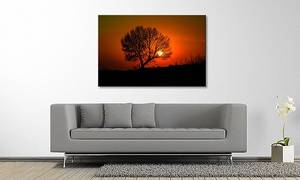 Quadro Red Sunset Abete massello / Tessuto misto - 80 x 120 cm