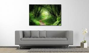 Quadro Way In Deep Forest Abete massello / Tessuto misto - 80 x 120 cm - Verde